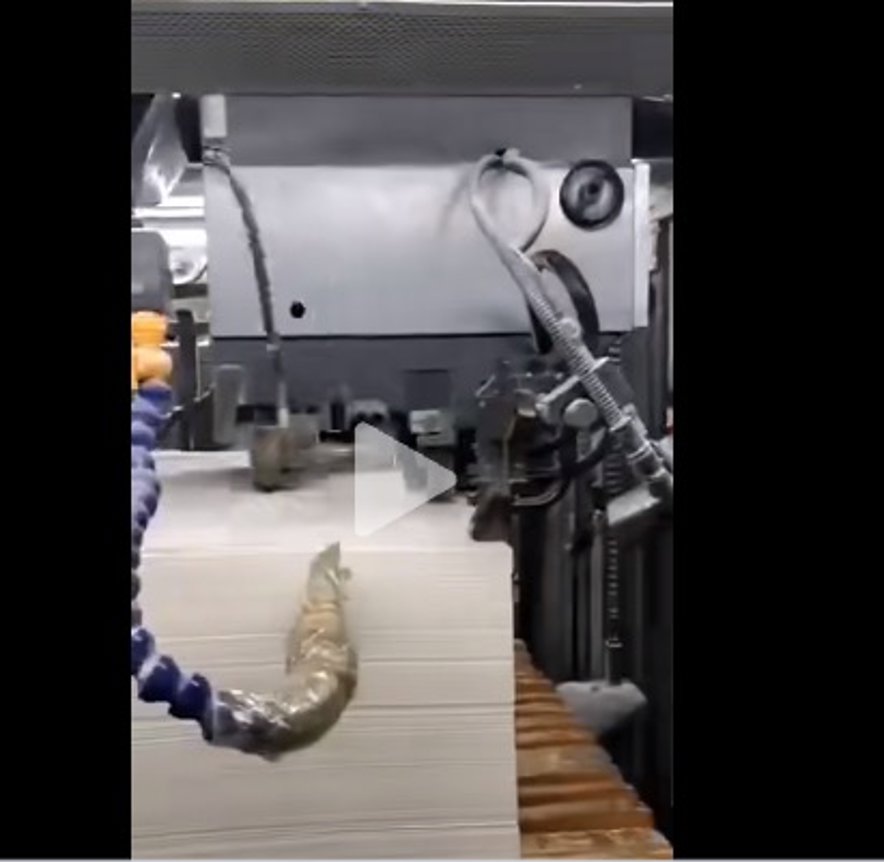 Sheet Fed / Offset Heidelberg CD102-5