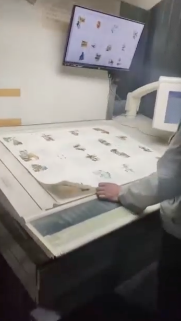 Sheet Fed / Offset Heidelberg SM102-8P 4+4